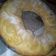 El cooksnap de Gisela Pollita cuando hizo Rosca de pascuas.
