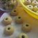 Cooksnap dari Trisnha untuk resep Monde KW a.k.a. kukis janda genit (eggless)