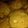 ChristineM97's cooksnap of when they made robinmay's pumpkin white chocolate chip cookies.