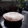 El cooksnap de Marisa Vazquez cuando hizo Torta árabe de coco.