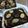 Cooksnap dari Lizza Al-ayyuby untuk resep Fudgy brownies