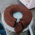 Cooksnap dari Ameira Sakeena untuk resep Bolu Coklat Choco chips