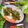 Mallika Biswas's cooksnap of when they made স্টাফড্ পমফ্রেট ফ্রাই (stuffed pomfret fry recipe in Bengali).
