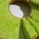 Cooksnap dari Della1408 untuk resep Bolu pandan