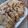 El cooksnap de Natalie camargo cuando hizo Tarta de atún con masa de yuca, baja en calorías y sin gluten.