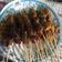 Cooksnap dari Dewi Sundari untuk resep Sate komo berbumbu tanpa di tusuk