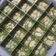 Cooksnap dari Tina Hasbie untuk resep Matcha Brownie