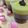 Cooksnap dari Linda Suseno untuk resep Avocado chocolate oreo pudding
