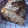 Vica Cooksnap-ja, amikor elkészítette a(z) 5 perces házi kenyér dagasztás, és kelesztés nélkül 🍞 receptet.