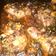 El cooksnap de drazusan@gmail.com cuando hizo Pollo al horno con jugo de naranja.