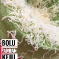 Cooksnap dari Suma Farhana untuk resep Bolkus Pandan Sederhana