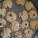 El cooksnap de Marti cuando hizo Galletas de avena y harina integral.