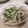 Su Lucia 的 椒鹽松板豬 cooksnap
