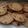 El cooksnap de Marcela Monica Placereano cuando hizo Galletas caseras de avena y chispas. Muy fácil!.