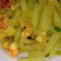 Cooksnap dari ER's Kitchen untuk resep Tumis Labu Siam Udang Sederhana