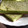 El cooksnap de Fernanda Olivera cuando hizo Fainá licuado de queso.