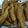 Cooksnap dari tresna untuk resep Otak otak goreng
