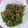 張美珠 的 青椒炒肉絲 cooksnap
