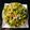 Anitha (Annie) 's cooksnap of when they made Sprouted moong stir fry.