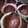 El cooksnap de Ame Prusso cuando hizo Muffins de algarroba con frutos secos y semillas de sésamo blanco.