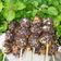 Cooksnap dari Sun Tea Mis untuk resep Bakpao Rainbow