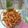 Cooksnap dari Vay Kitchen untuk resep Kering Tempe Pedas Manis