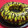 El cooksnap de sandra rios cuando hizo Rosca de Pascuas rellena de dulce de leche.