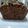 El cooksnap de Debo B cuando hizo Torta de chocolate y porotos negros.