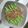 Cooksnap dari cameldja untuk resep Buncis siram daging cincang