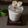 Jasmin Motta _ #BeingMotta's cooksnap of when they made Healthy Oats Banana Smoothie| Healthy breakfast | weight loss.