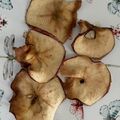 El cooksnap de poramoralhambre cuando hizo Chips de manzana con Tajín en freidora de aire.