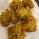 Cooksnap dari Sherly untuk resep Sosis gulung mi