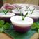 Cooksnap dari 🍒Astri Anjar🍍 untuk resep Kue Talam Ubi Ungu