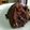 吳雙 的 紅豆泥 Red bean Paste cooksnap