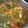 Cooksnap dari Pawon Jowo untuk resep Ikan kembung kuah asam pedas / asem-asem pedas ikan kembung