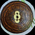 Anusree Goswami's cooksnap of when they made জেব্রা/মারবেল কেক(zebra/marbel cake recipe in bengali).