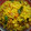 Vanika Agrawal's cooksnap of when they made Kanda Poha.
