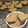 El cooksnap de Maia Rolando cuando hizo Galleta de avena y coco.