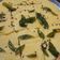  Hena Sarkar का कुकस्नैप जब उन्होंने ढोकला(dhokla recipe in hindi) बनाया था।