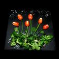 El cooksnap de Cecilia Lascaux "Cocina Hoy Con Cecilia " cuando hizo Trampantojo de Tulipanes de Holanda para ti 🌷.