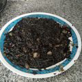 El cooksnap de Ana Roca cuando hizo Arroz negro (Thermomix).