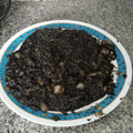 El cooksnap de Ana Roca cuando hizo Arroz negro (Thermomix).