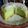 Cooksnap dari Fina Daryl Sangkhe'khun untuk resep Bolu pandan hemat magic com