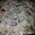 Jojo's cooksnap of when they made Bacon Ranch Pasta Salad.