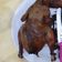 Cooksnap dari CJMom untuk resep Bebek Peking Panggang Halal