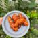 Cooksnap dari Fabiola Elly untuk resep Ayam goreng korea (bonchon)
