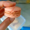 Cooksnap dari Joceline untuk resep Macaron Dengan Tepung Terigu dengan metode Swiss meringue