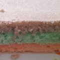 Cooksnap dari Wulandari Putriningrum untuk resep Steamed Rainbow Cake🍰