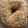 El cooksnap de Ikuy cuando hizo Bagels integrales.