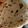 Naina Badi's cooksnap of when they made Roti.